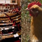 French MP’s clucking sparks sexism spat