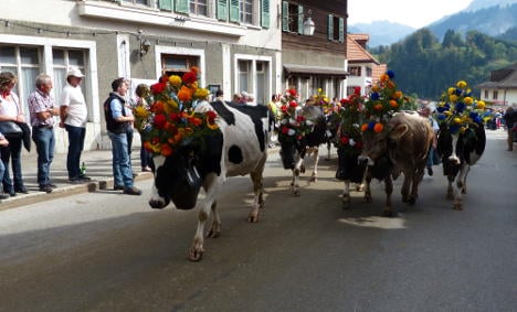 In pictures: village fetes cows’ descent from Swiss Alps