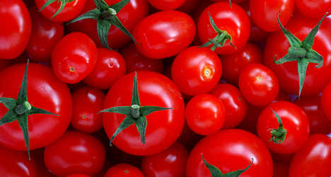 'There are no 'good' or 'bad' tomatoes in Italy'