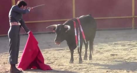 Bullfighter fined for cruelty to horse