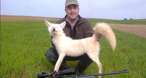 Hunter's pics of dead albino fox anger Spain