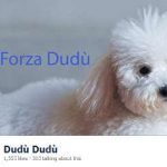 Silvio Berlusconi’s pet dog is a Facebook hit