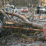 Thousands lose power as storm lashes Sweden