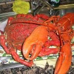 <strong>LOBSTER:</strong> The French don't hold back on the spending when it comes to culinary customs for Le Reveillon, so continuing in the theme of pricey seafood, lobster and crab will often make an appearance on the Reveillon menu. Photo: Chispita