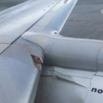 Bird strike forces plane to turn back