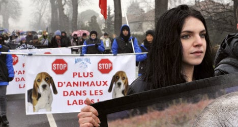 France tops EU rankings for animal testing
