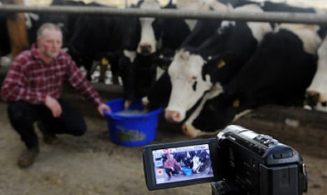 Mootube: Milk farmers make a splash online