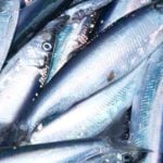 Russian cartel blocks Norway fish: report