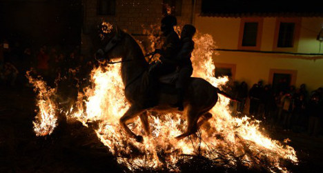 Horses leap bonfires in controversial festival