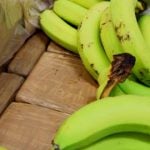 Giant cocaine haul found stashed in banana boxes