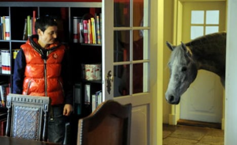 Horse moves into home and won't leave