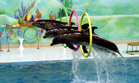 TUI dolphin show ban is for Germans only