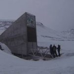 Brazil beans and Japan barley come to Svalbard
