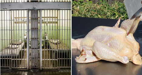 Frenchman jailed for frozen chicken attack