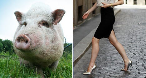 Pigs to UFOs: The most bizarre laws in France