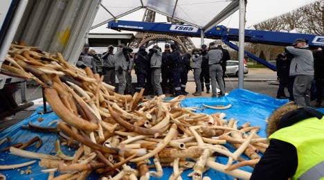 Ivory: France destroys three tonnes of tusks