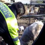 VIDEO: Police slammed for pepper spraying pigs