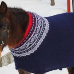 Horses asked how they prefer to stay warm