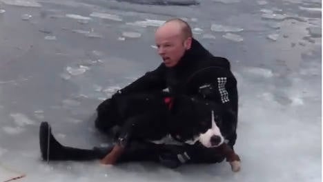 VIDEO: Dog rescued from ice in daring operation