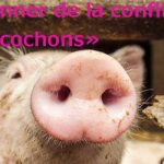 France’s favourite idioms – Lost in translation?