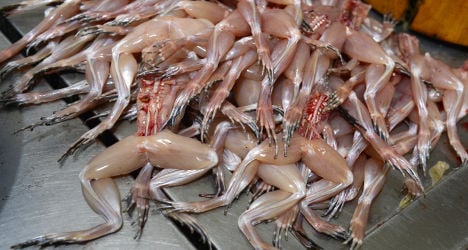 Frogs' legs: French police bust poaching ring