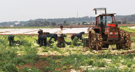 Foreign farm workers are 'treated like slaves'