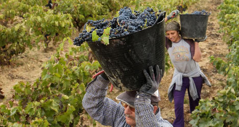 Spain becomes world's biggest wine producer