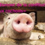 "Donner de la confiture aux cochons" translates as "to give the jam to the pigs". This has surely been said around Christmas time in certain French households.Photo: <a href="http://shutr.bz/1qvXDlN">Shutterstock</a>