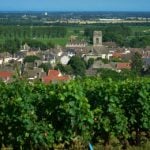 Burgundy ‘will be ruined by wind farms’