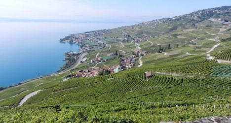 More protection sought for Lavaux vineyards