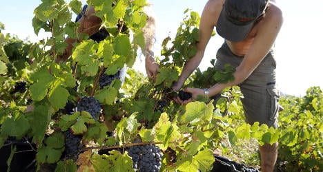 French winegrower fined over pesticide refusal