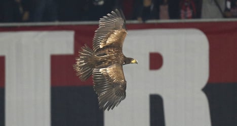 'Dangerous' mascot eagle banned from stadium