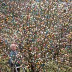 <b>6) Get a tree:</b> The painted eggs are often hung on Easter trees and this German tradition has spread to other countries. One of the most famous examples is this tree in Thuringia. Photo: DPA