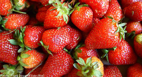Swedes pay $27 for ‘bargain strawberries’