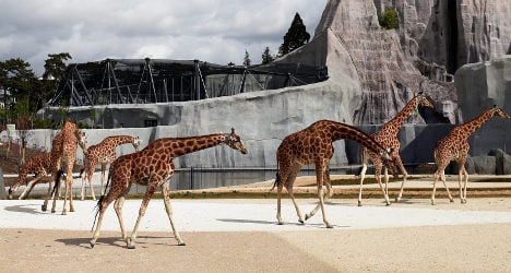 New ’21st century’ Paris zoo ‘is not a fun park’