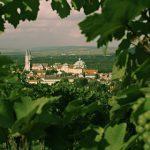 Austria’s oldest winery marks 900 years