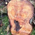 ‘The Scream’ appears in a tree stump