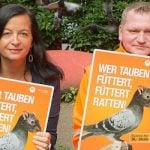 Vienna cracks down on pigeon feeders