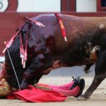Bullfighting groups cry foul over Twitter abuse