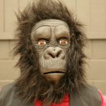Zoo fail: man ‘in gorilla suit’ shot in training drill