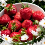 Strawberry surplus saves Swedish Midsummer