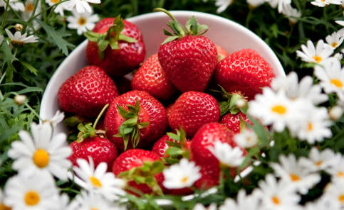 Strawberry surplus saves Swedish Midsummer