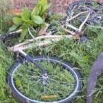 Cyclist killed in Aargau hit-and-run road crash