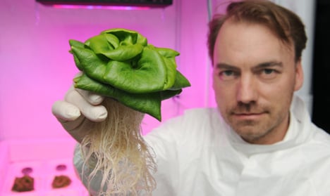 Scientists hope to grow salad in space