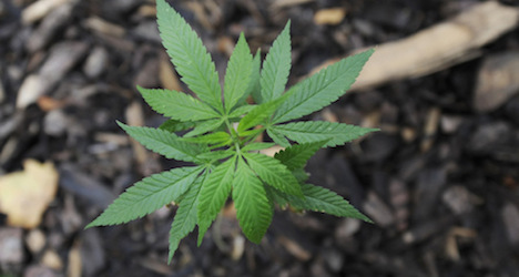 Marijuana 'grow-room' discovered in Vils