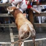 A participant is hurled up against a barrier by a Miura bull after being gored in the thigh during the last bull-run of the San Fermin Festival in PamplonaPhoto: Iñaki Vergara/AFP
