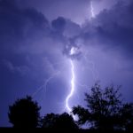 Family of four struck by one lightning bolt