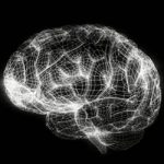 Scientists threaten boycott of brain project