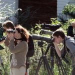 Swedish ornithologists keep webcam watch