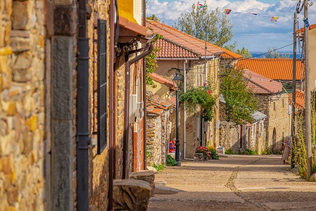 Camino de Santiago